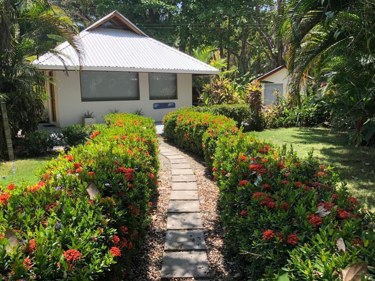 Casa Cecilia Beach Front Playa Santa Teresa  Ngoại thất bức ảnh