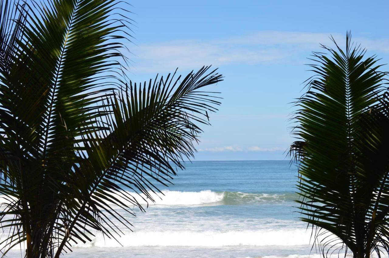 Casa Cecilia Beach Front Playa Santa Teresa  Ngoại thất bức ảnh