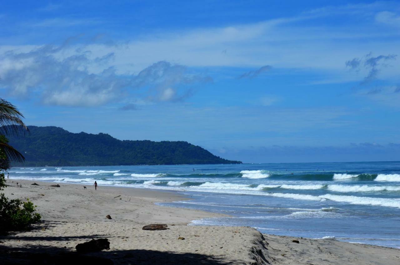 Casa Cecilia Beach Front Playa Santa Teresa  Ngoại thất bức ảnh