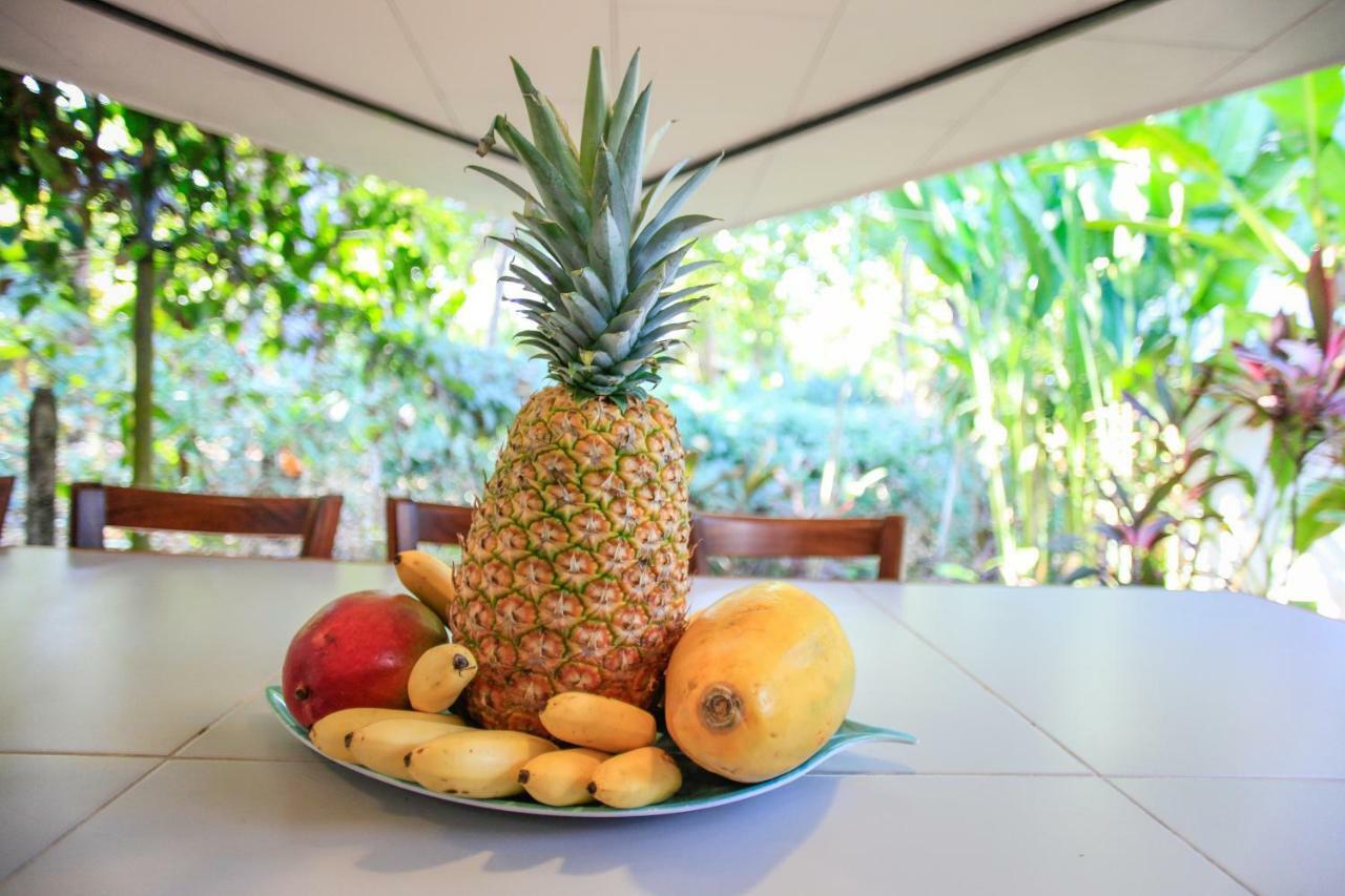 Casa Cecilia Beach Front Playa Santa Teresa  Ngoại thất bức ảnh